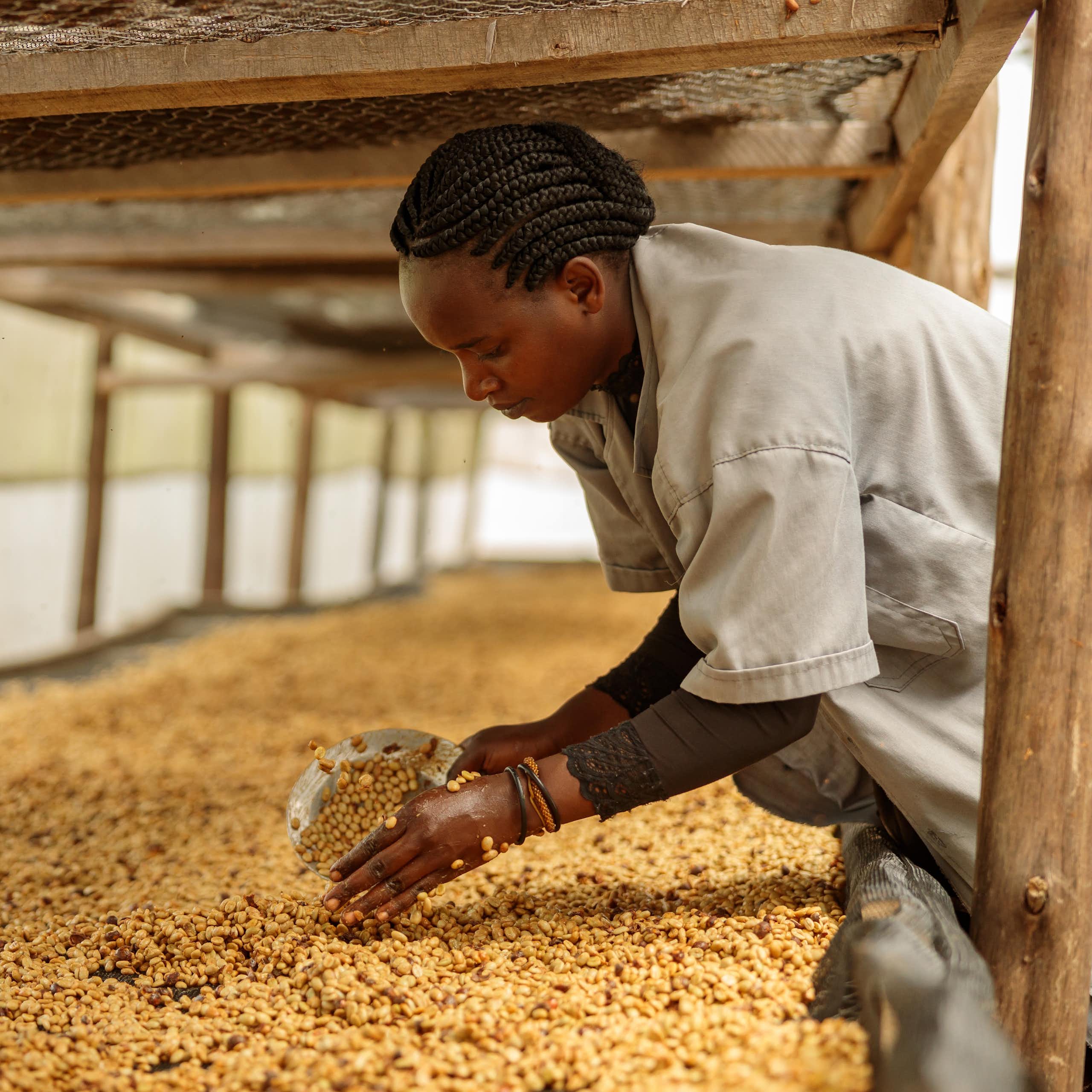 Woman working with coffee beans