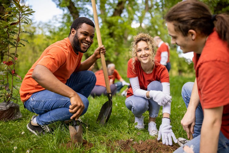 Group of young people planting trees.