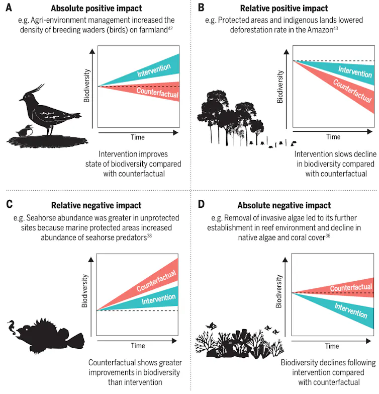 Four graphs depicting four different types of outcomes from conservation actions.