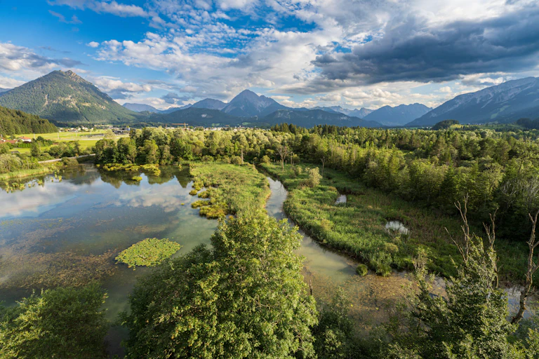 An aerial view of a wetland.