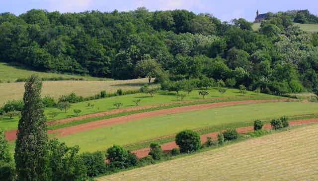 paysage agricole près de Sourcieux-les-Mines (Rhône)  