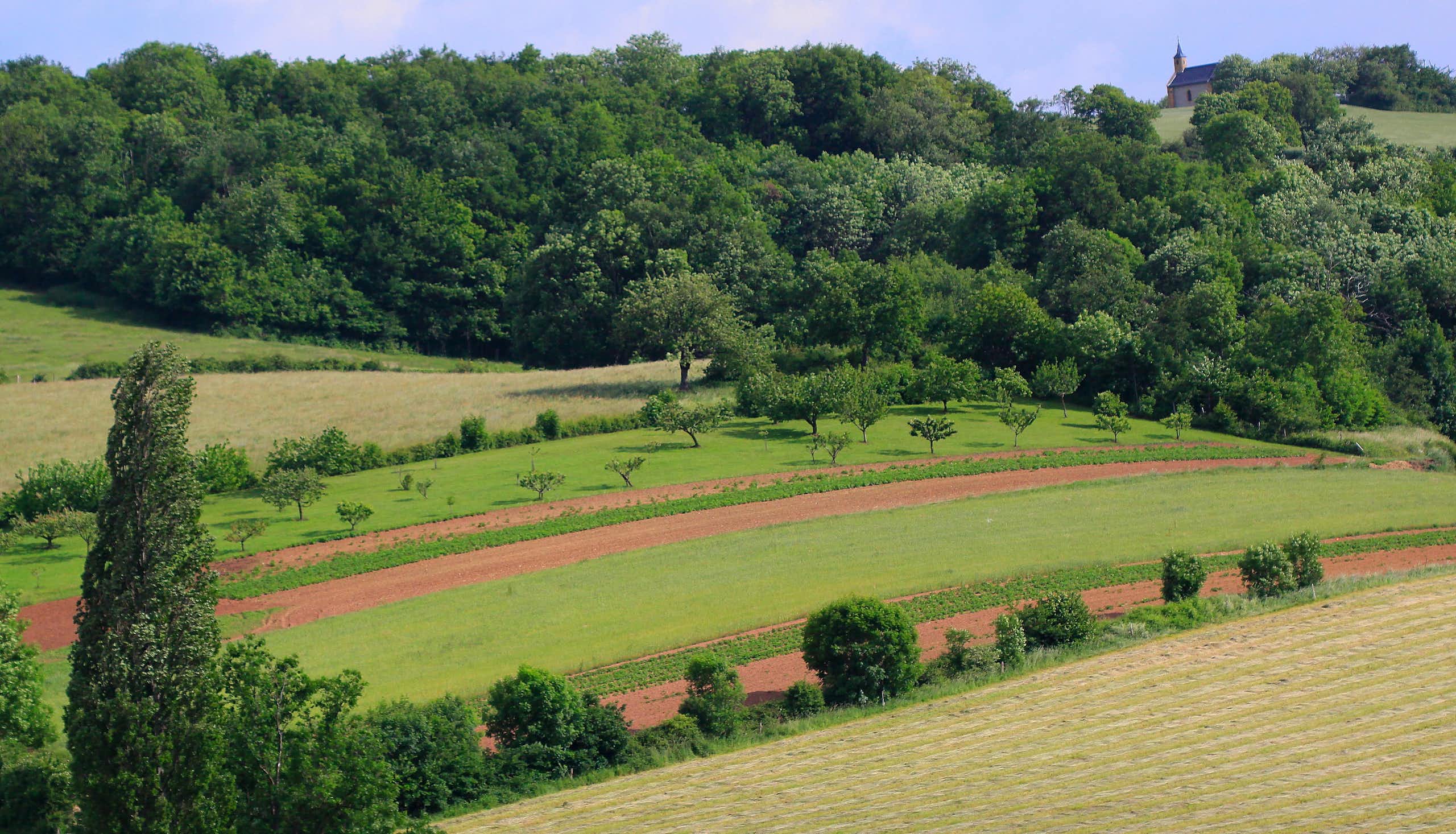 paysage agricole près de Sourcieux-les-Mines (Rhône)  