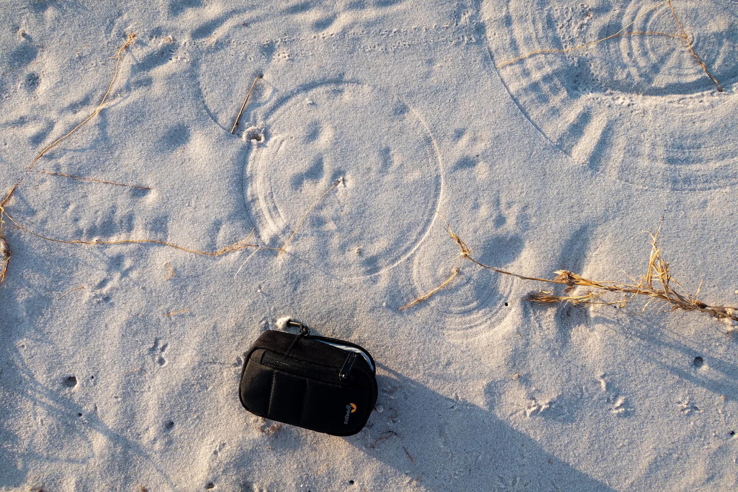 A camera bag lies on beach sand alongside several circles created by plant fronds, which are also pictured