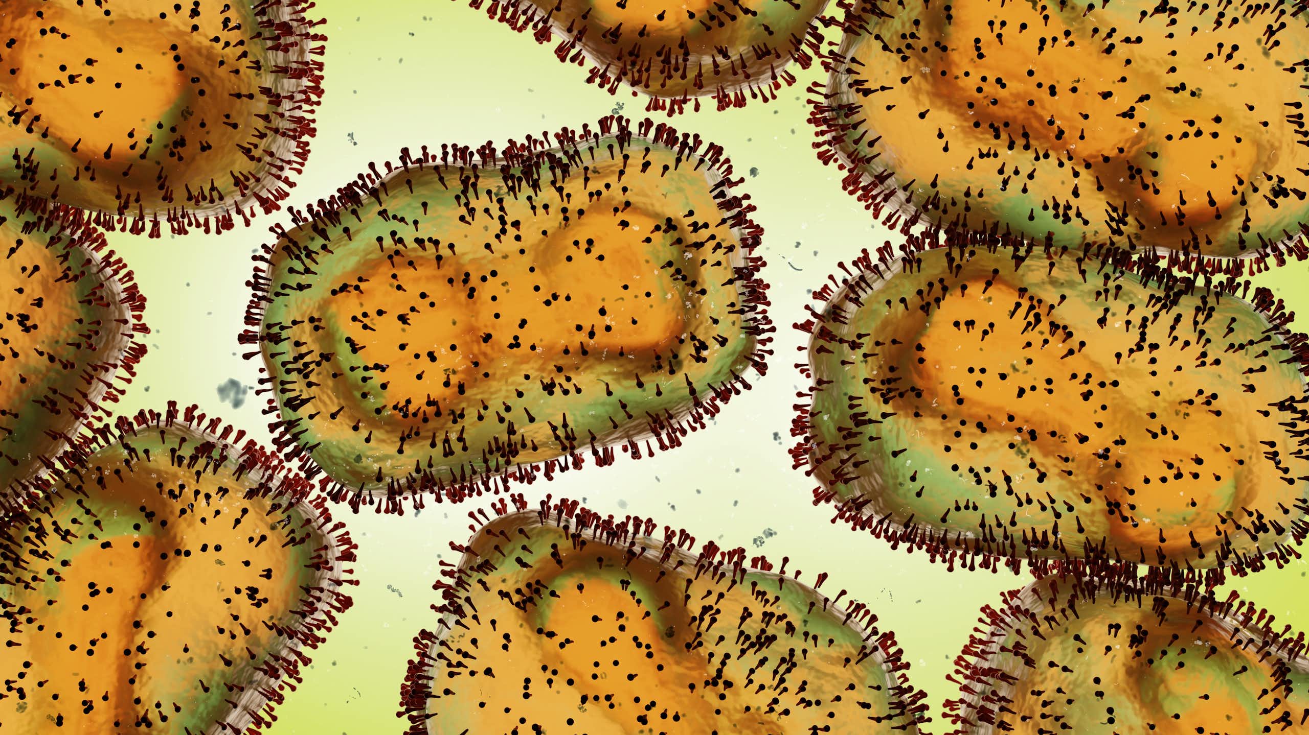 A digital rendering of mpox viruses under a microscope.