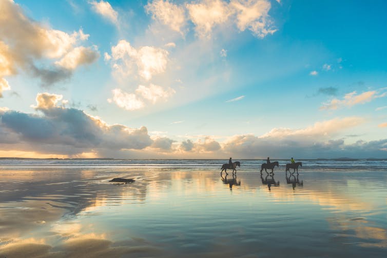 wide shot of beach, dramatic cloudy sky reflected on wet sand, three horses walking in distance with riders