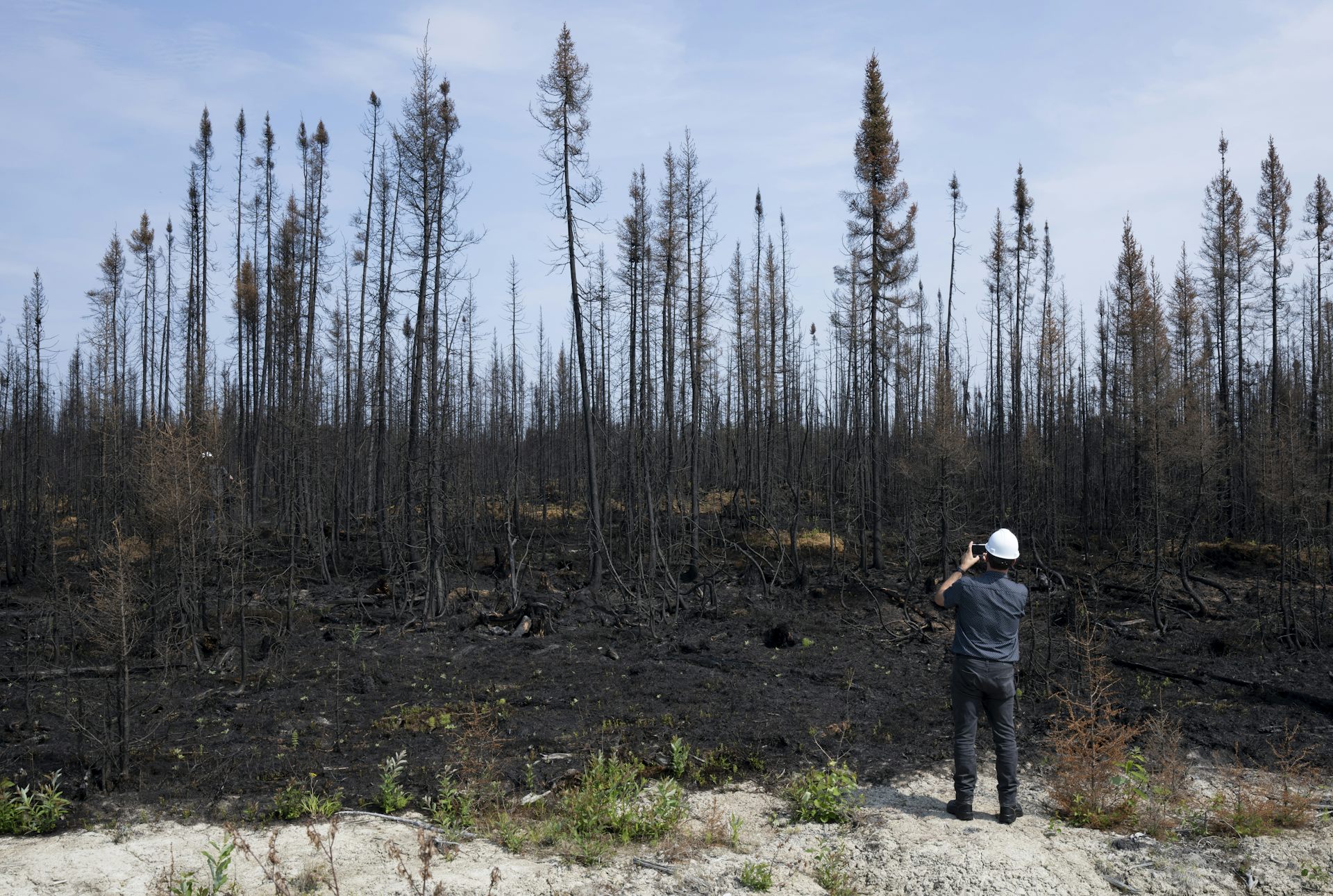 A journalist takes a photo of fire-damaged trees