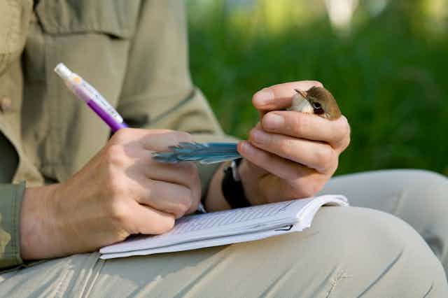 Close up of a seated man holding a small bird with one hand and taking notes with the other.