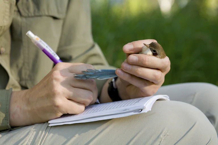 Close up of a seated man holding a small bird with one hand and taking notes with the other.