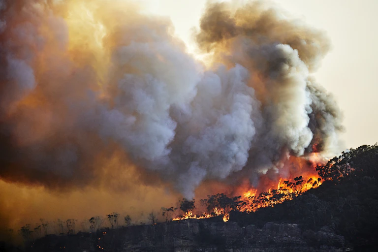 Thick clouds of smoke emerging from fires below fill the entire sky.
