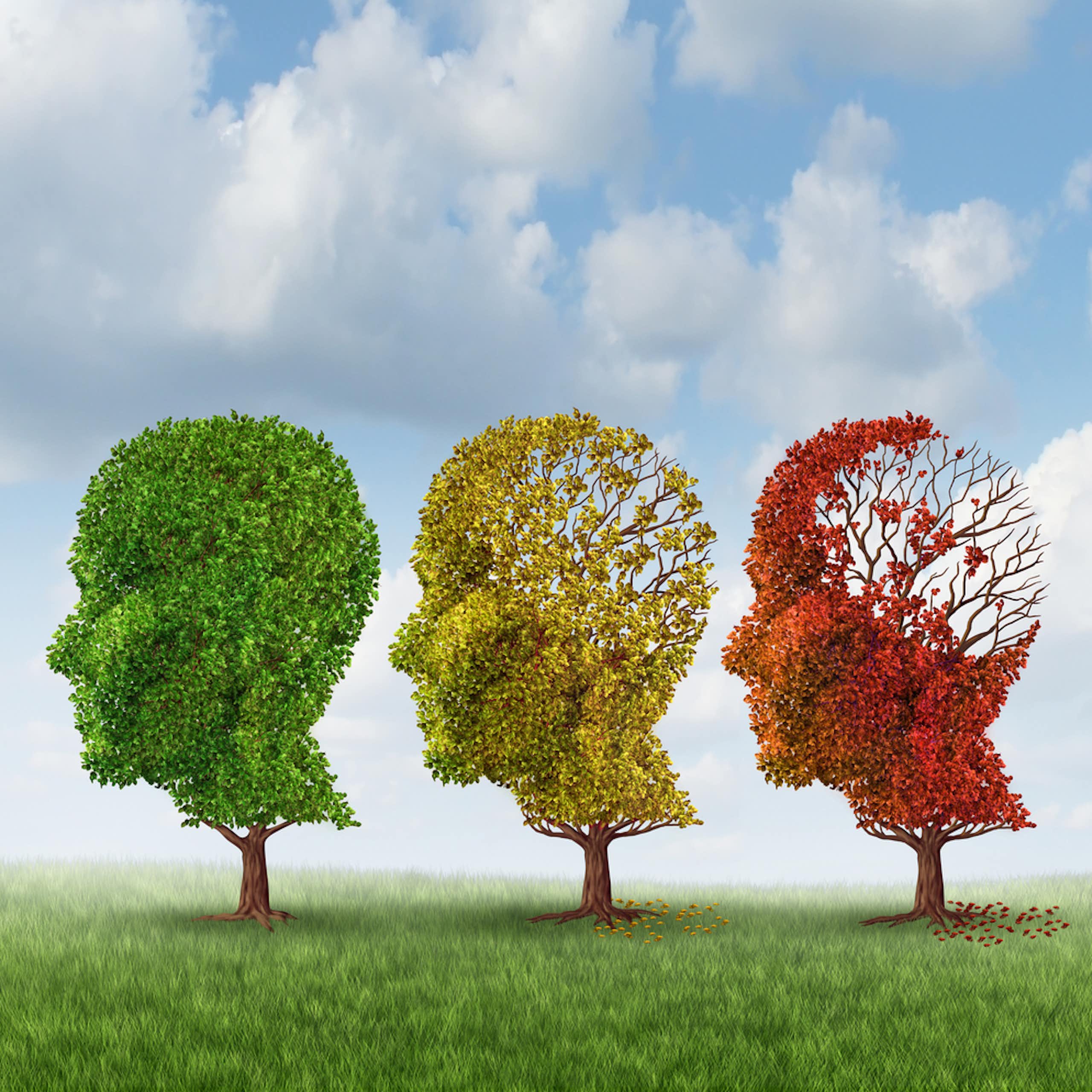 What’s the difference between Alzheimer’s and dementia?
