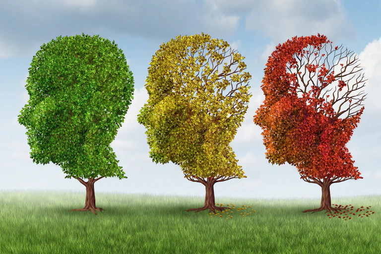 Three trees in shape of heads, progressively losing leaves