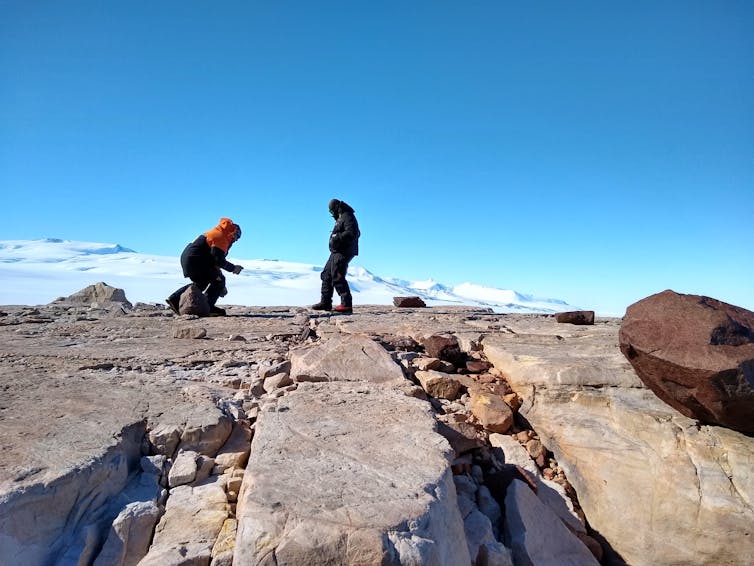 Scientists standing on a bluff to examine rocks in Antarctica