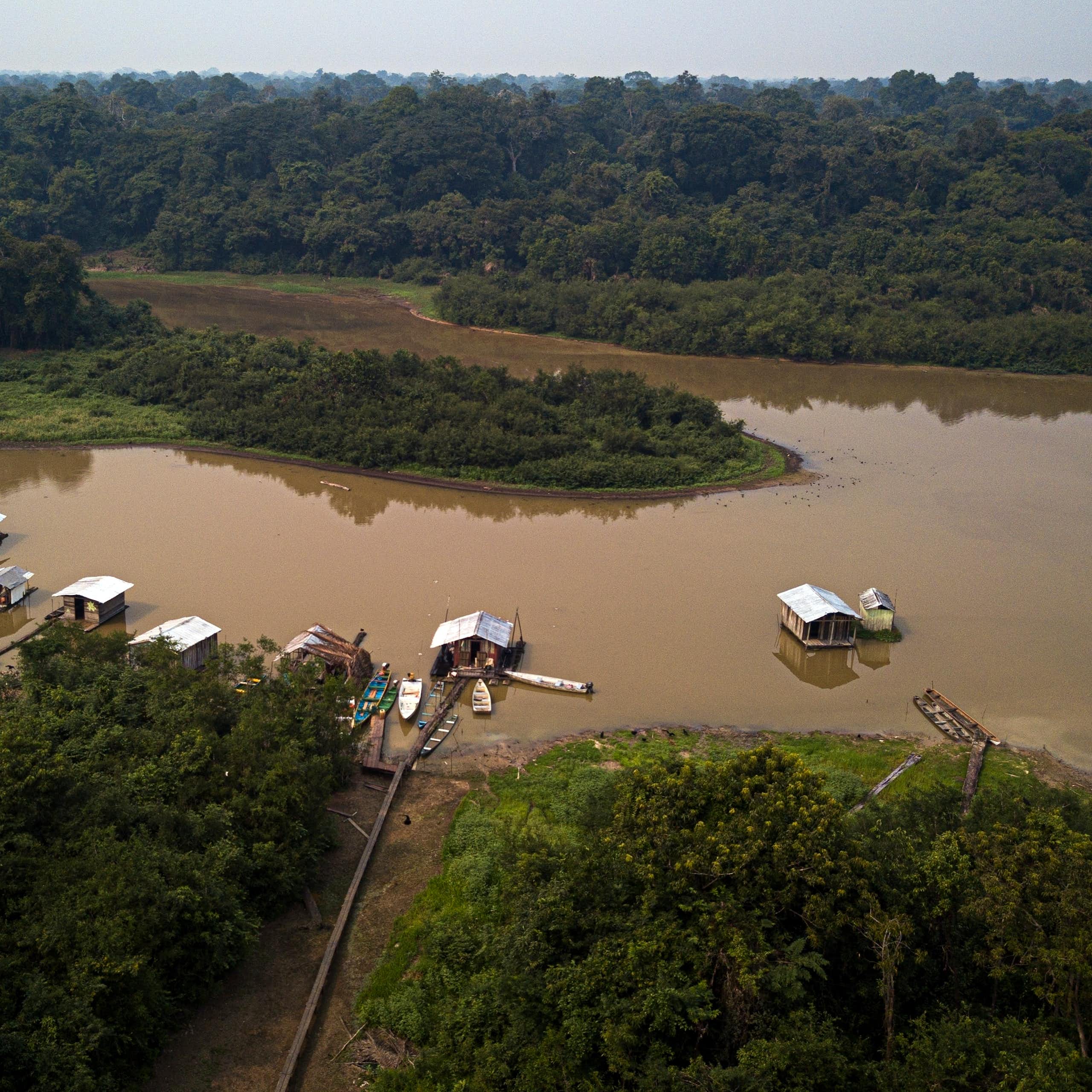 Nem pop, nem tech: os impactos do agronegócio na Amazônia e o que ainda se pode fazer para reverter a destruição