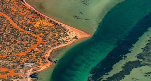 It’s time to strike an environmental grand bargain between businesses, governments and conservationists – and stop doing things the hard way