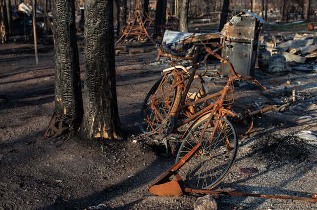 A burnt bicycle in an area damaged by wildfire.