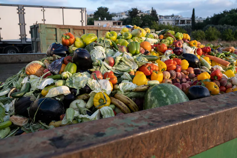 A dumpster filled with fruit and vegetables.