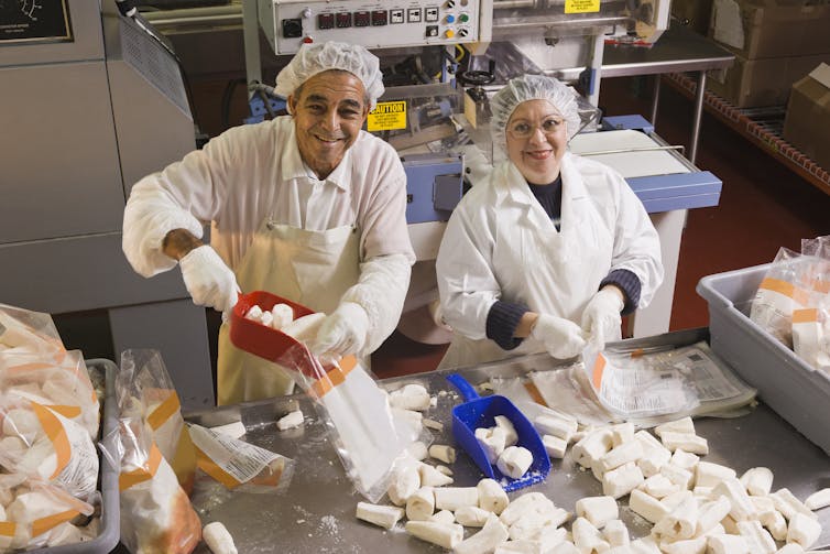 Two workers in white coats, hair caps and gloves show the white lumps they are packing
