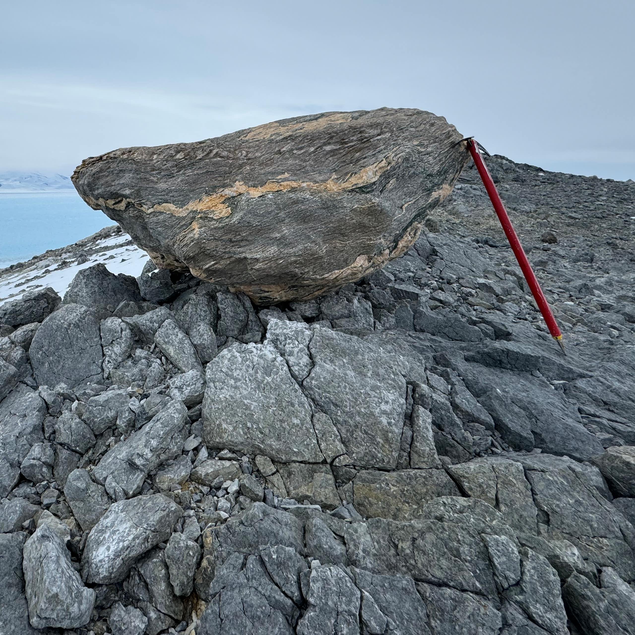 A rock perched on an outcrop in Antarctica, with am ice pick for size comparison.