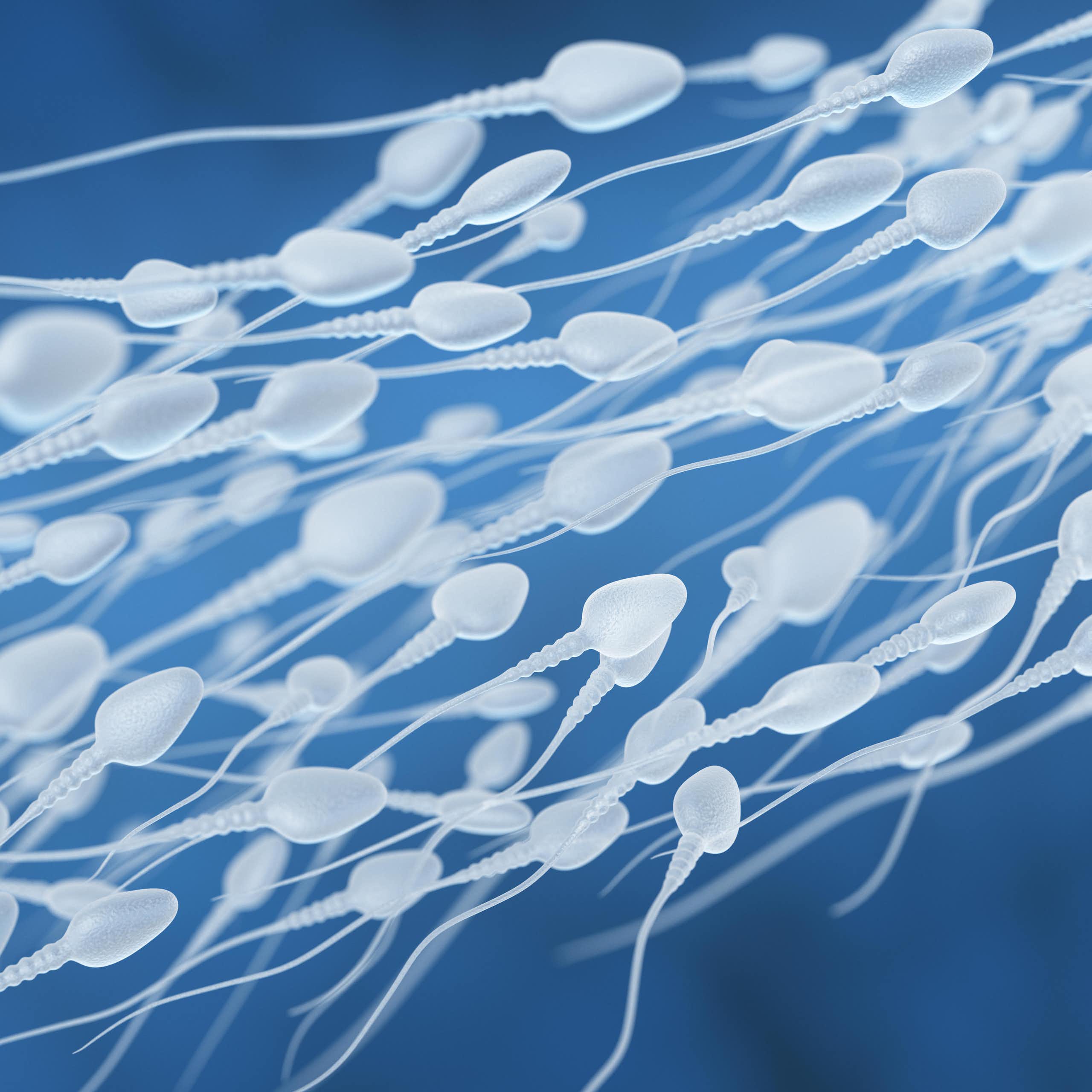 An illustration of sperm