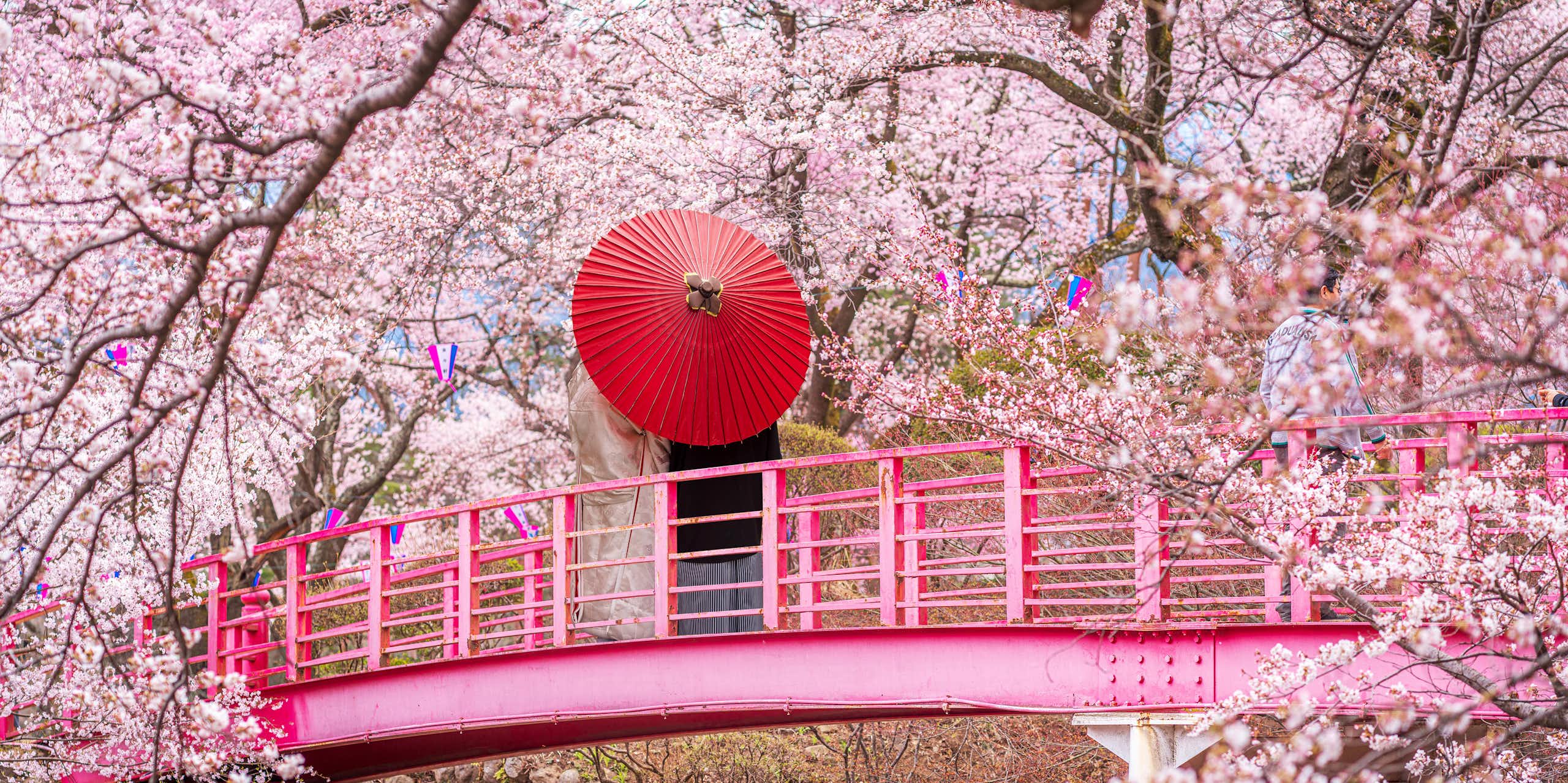 Tiempo de sakura: disfrutemos de los cerezos en flor y de sus frutos saludables