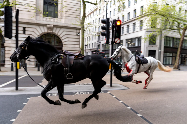 Two horses running down a London street.