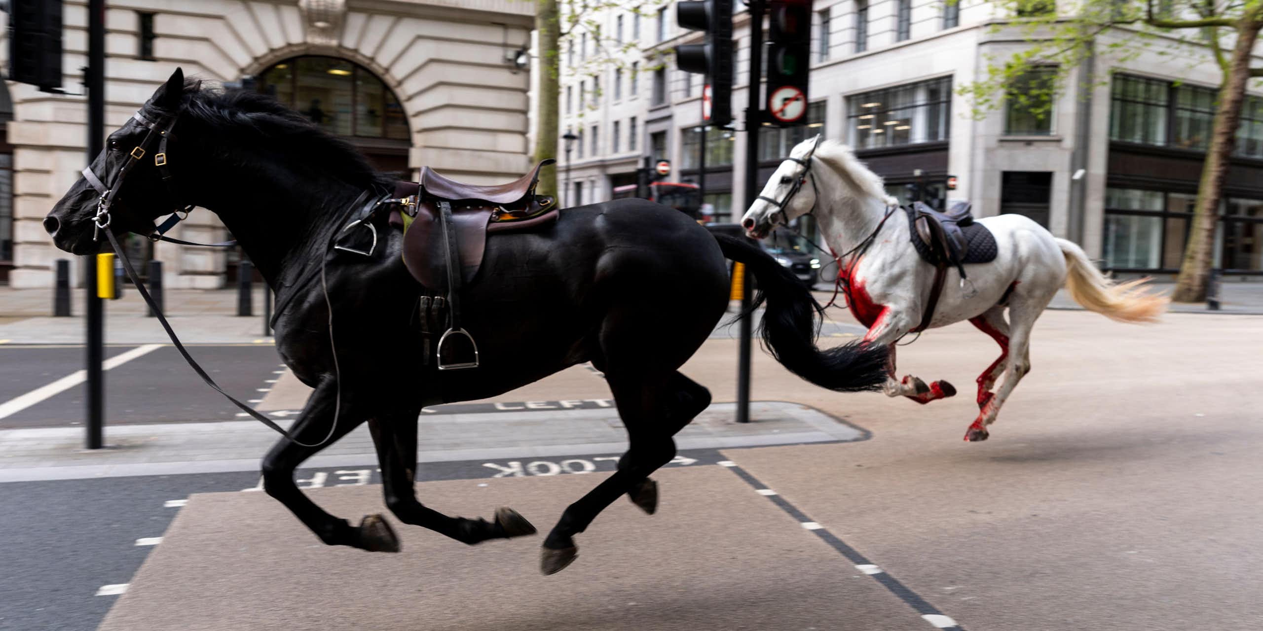 Two horses running down a London street.