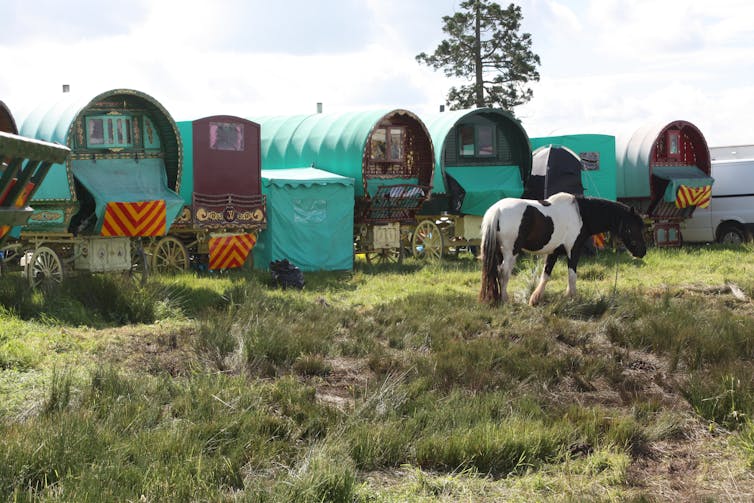 Traditional Gypsy caravans parked in a field with a horse.