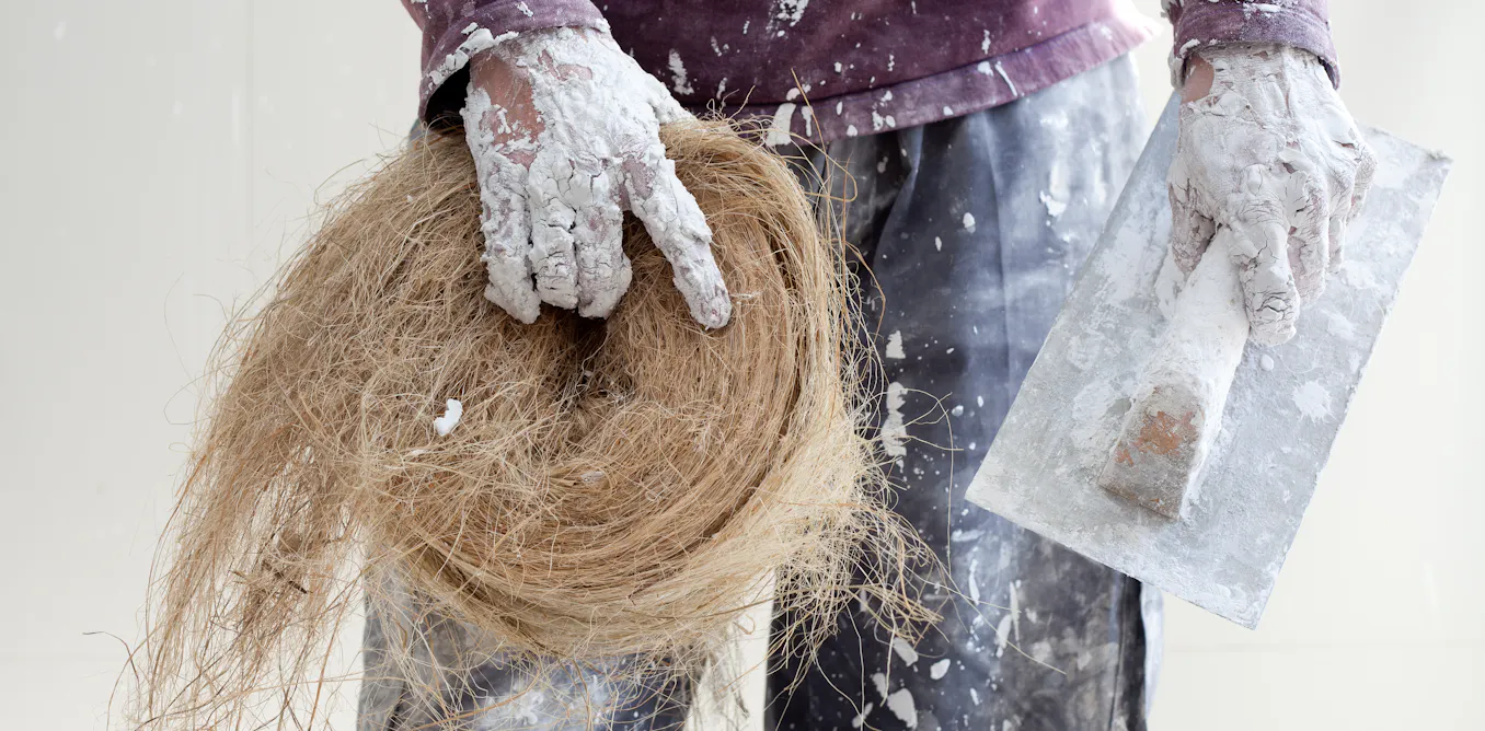 Hemp is more sustainable than timber – here’s how it could transform ...