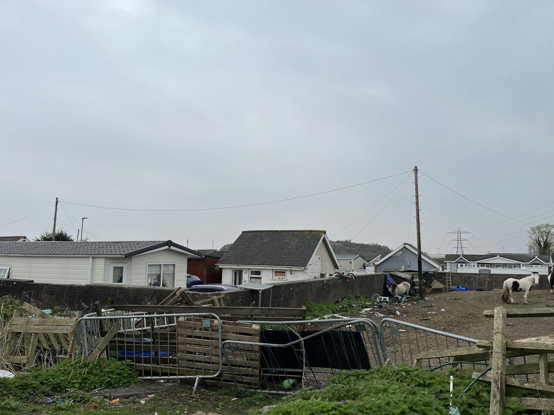 Mobile homes and horses under a grey sky.