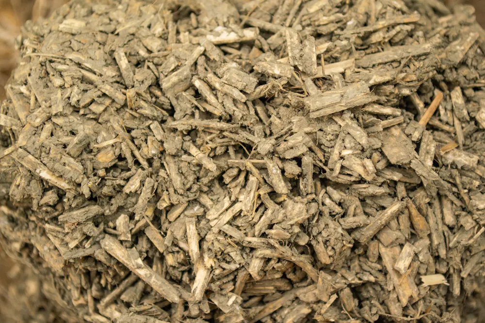 Hemp is more sustainable than timber – here’s how it could transform ...