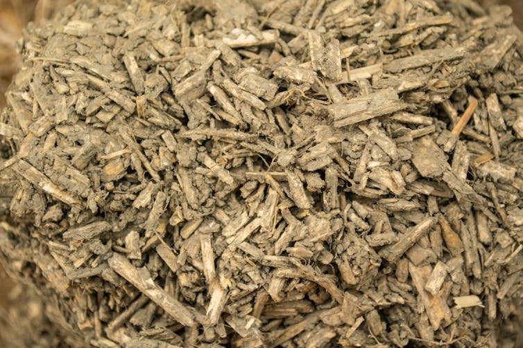 close up of shavings of brown dried hemp material