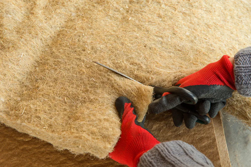Hemp is more sustainable than timber – here’s how it could transform ...
