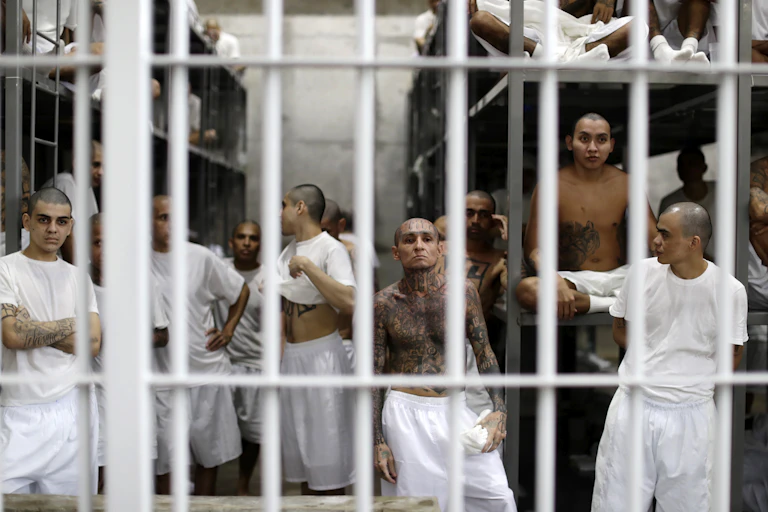 A group of heavily tattooed gang members in their prison cell.