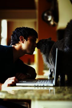 Young man sits in front of his laptop and puts his nose up to the nose of his cat.
