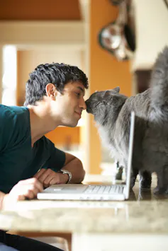 Young man sits in front of his laptop and puts his nose up to the nose of his cat.