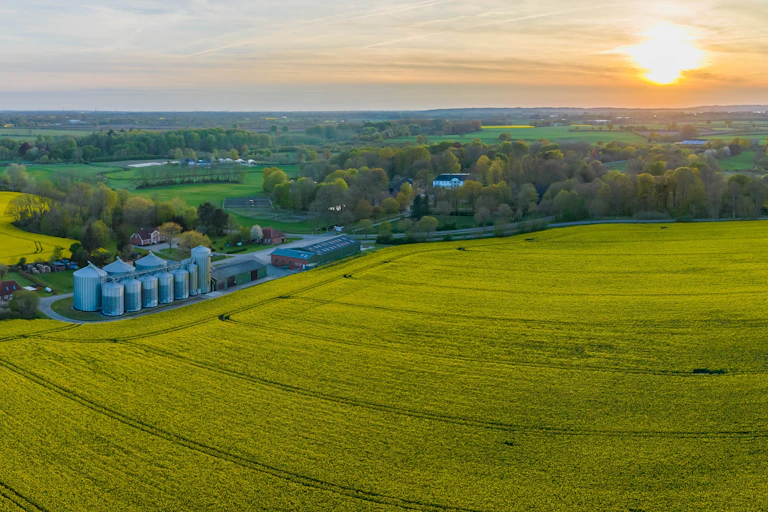 Storage tanks next to a canola field and a grove of trees