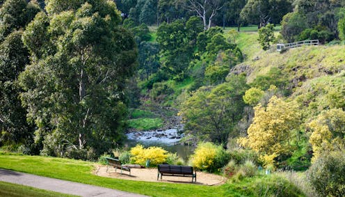 Making merry: how we brought Melbourne’s Merri Creek back from pollution, neglect and weeds