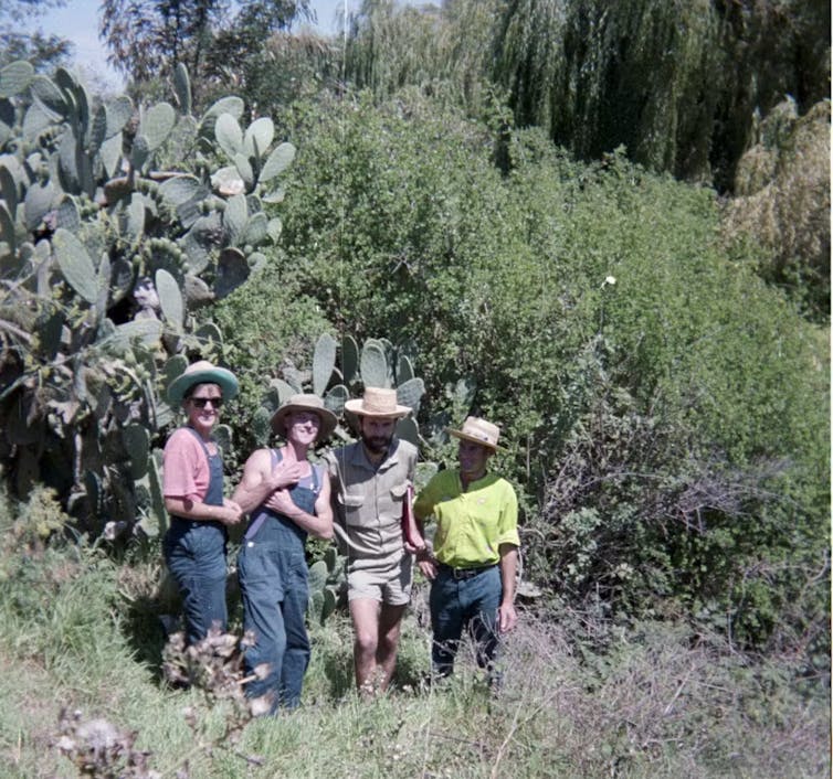 weedy creek bank