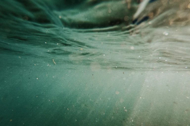 Sunlight shines through seawater