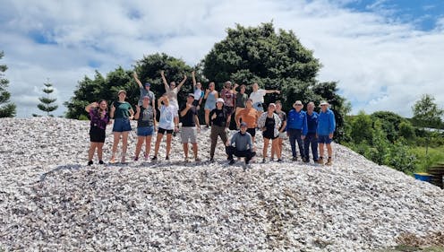 How a filmmaker, a pile of old shells and a bunch of amateurs are bringing our oyster reefs back