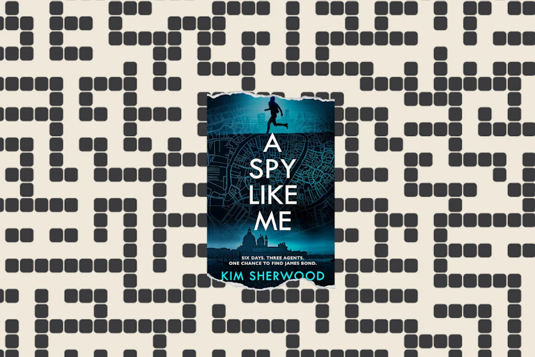 A Maze with the book cover.