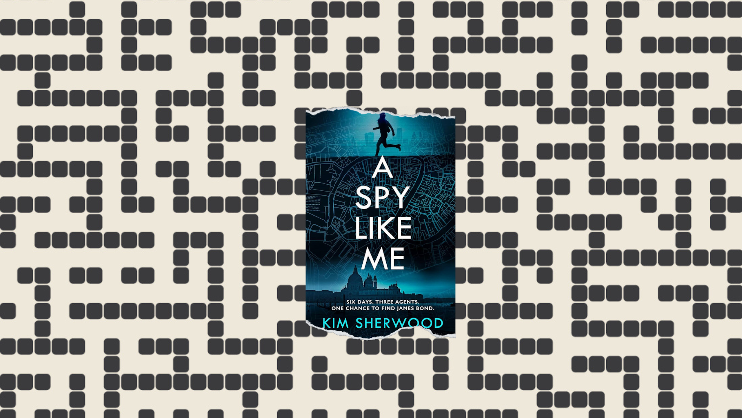 A Maze with the book cover. 