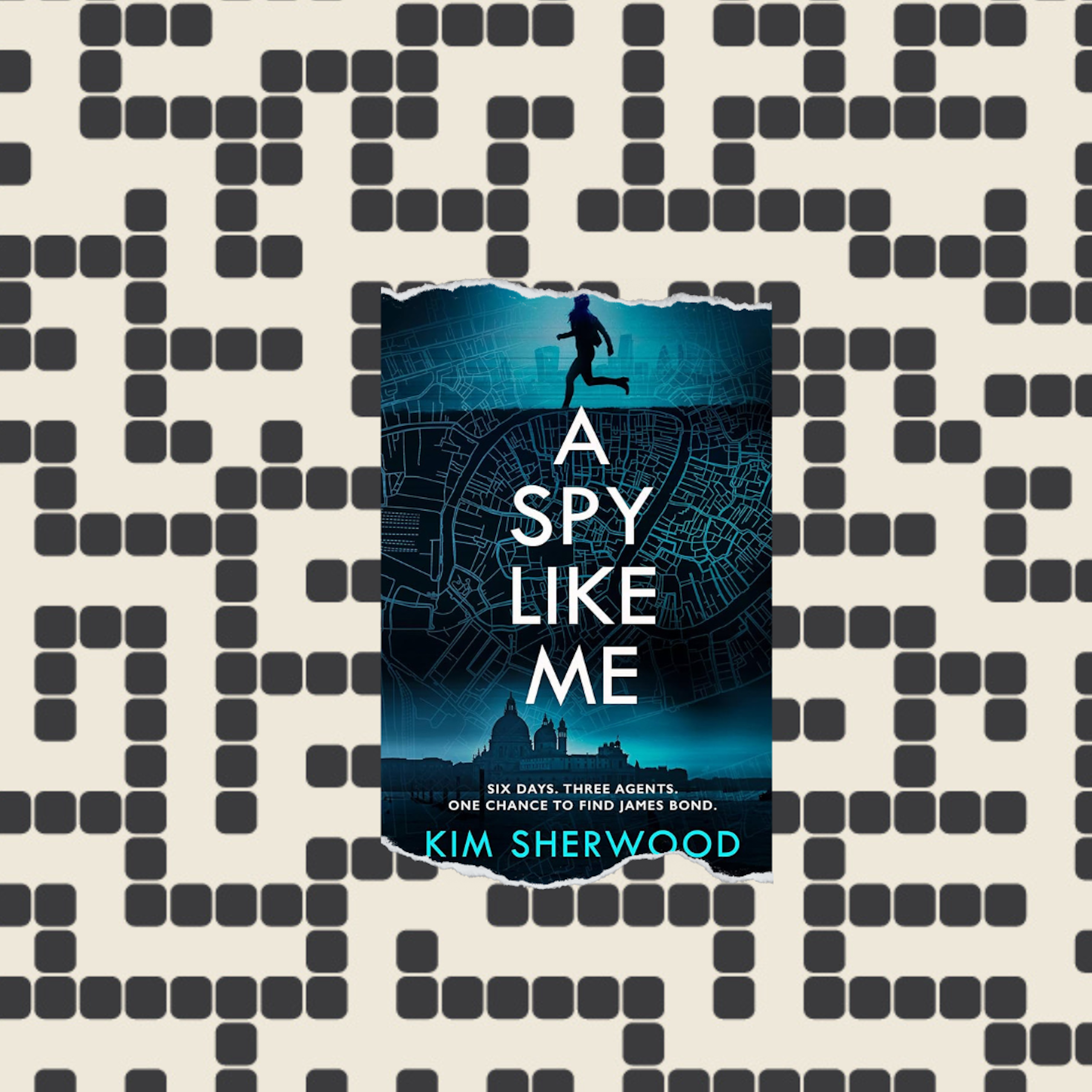 A Maze with the book cover. 