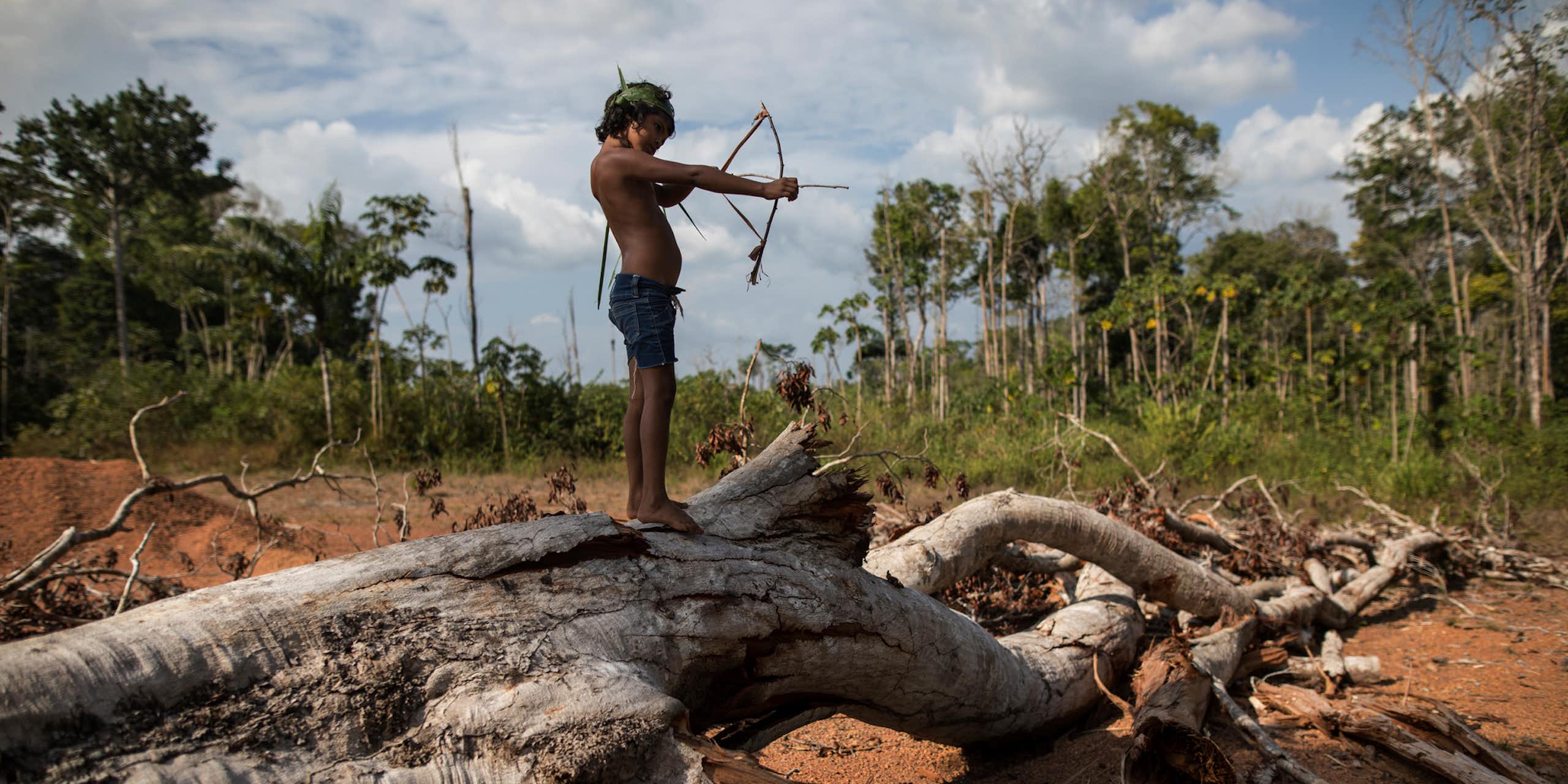 Modelos regionais: uma alternativa para prever os impactos futuros das mudanças climáticas na Amazônia