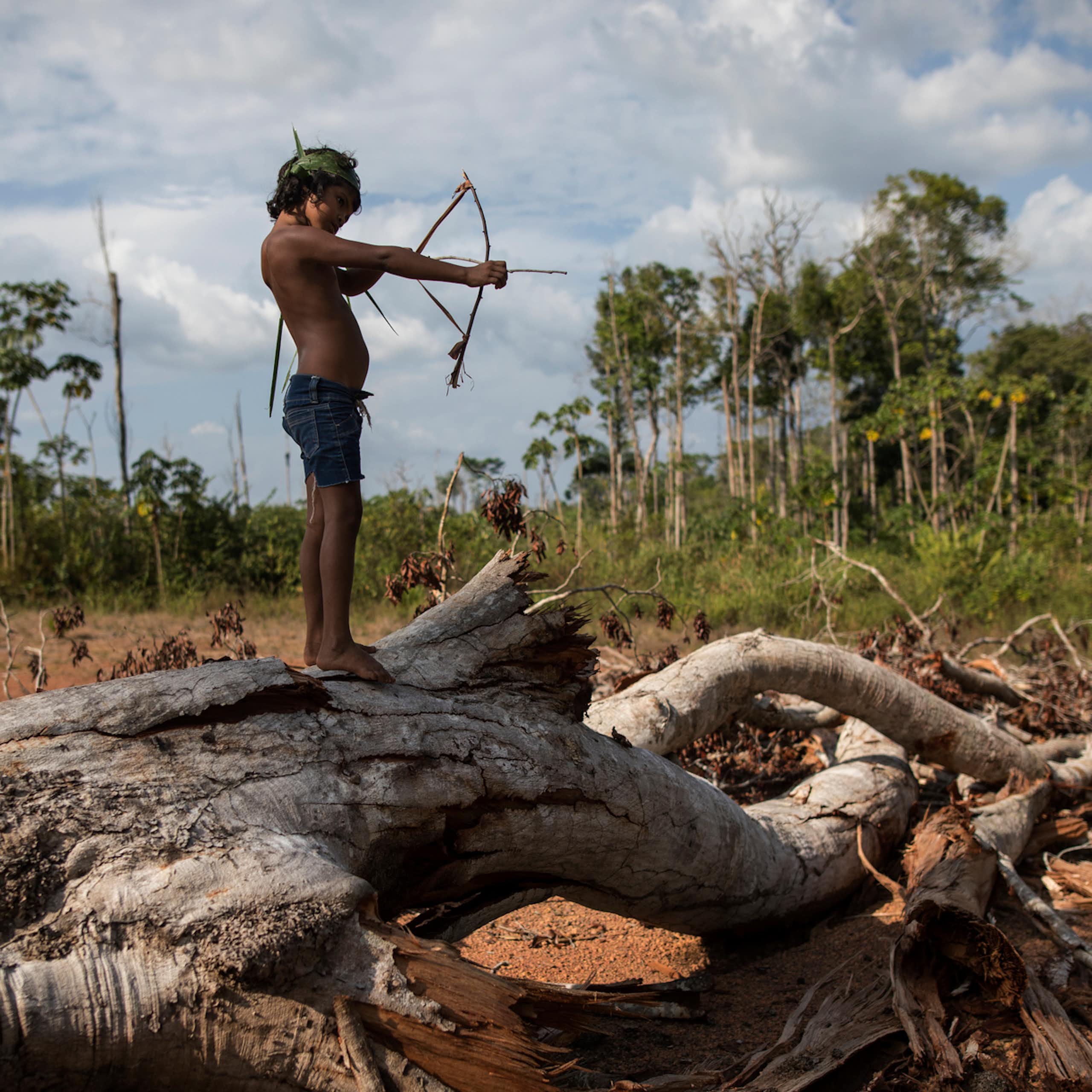 Modelos regionais: uma alternativa para prever os impactos futuros das mudanças climáticas na Amazônia