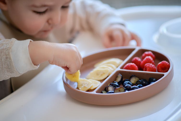 Baby eats fruits and berries with their hand
