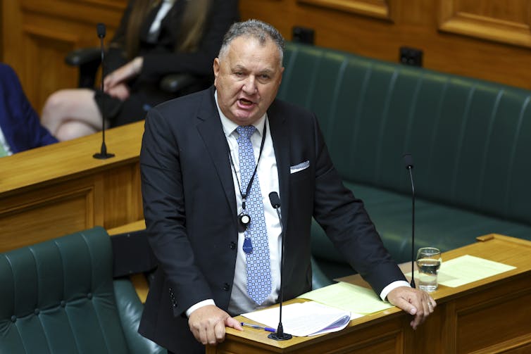 Shane Jones in parliament