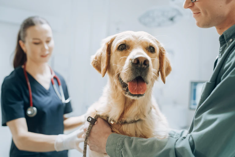 Photo d’un chien et son maître chez une vétérinaire.