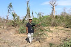 A person stands next to a tree that is a baobab seedling