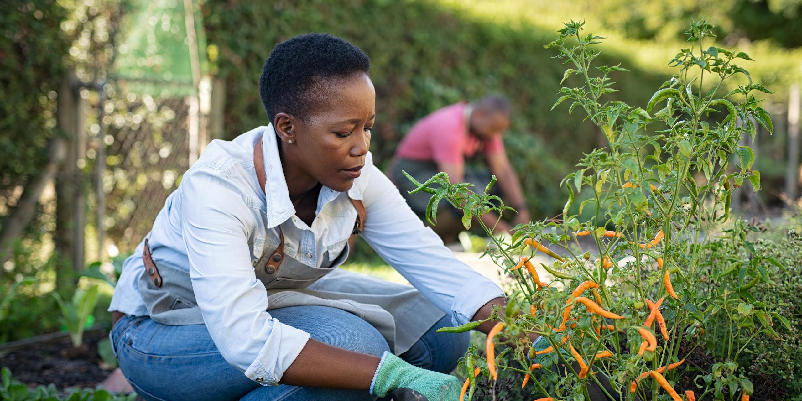 A Black woman wearing denim, gloves and an apron, crouches down by a green and orange plant. 